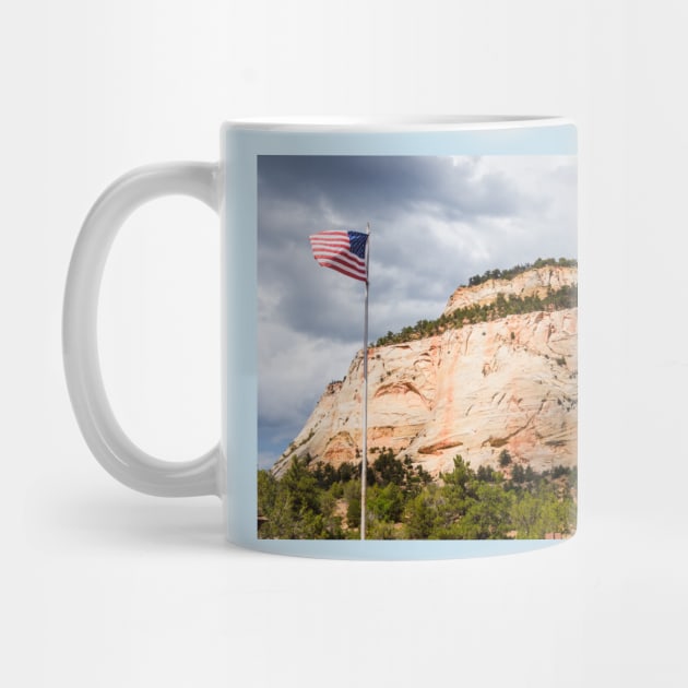 American Flag at Zion National Park by Debra Martz